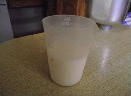 Le lait pour la cuisson du pain