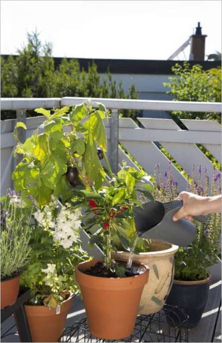 Outils de jardinage