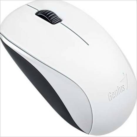 Souris d'ordinateur Genius NX-7000