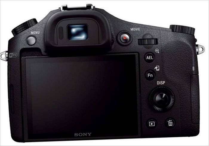 Sony Cyber-Shot DSC-RX10 : Vue arrière