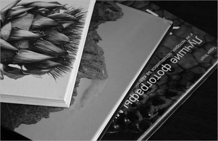 5 - Monochrome
