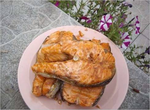 Steaks de poisson grillés dans l'air cooker