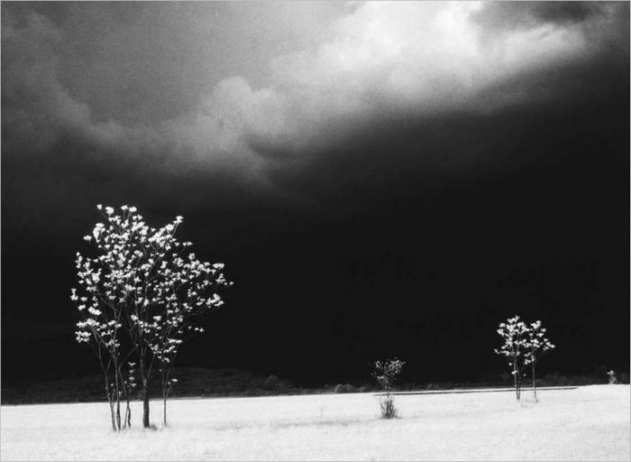 Avant la tempête, 1963