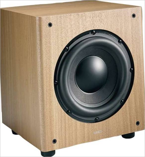 Subwoofer Acoustic Energy Radiance Sub