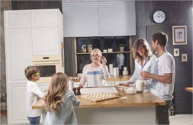 Gros appareils électroménagers pour la cuisine
