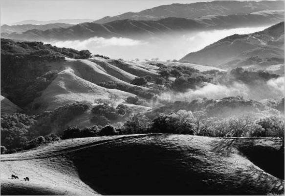 John Wimberley. Carmel Valley depuis Hall's Ridge. 1993