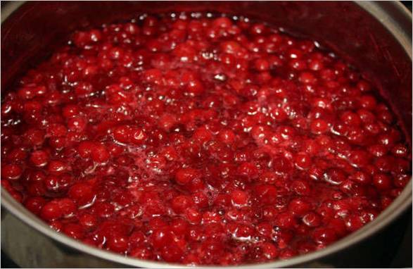 Confiture d'airelles rouges