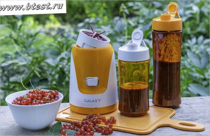 Galaxy GL2150 fitness blender Galaxy GL2150 fitness blender