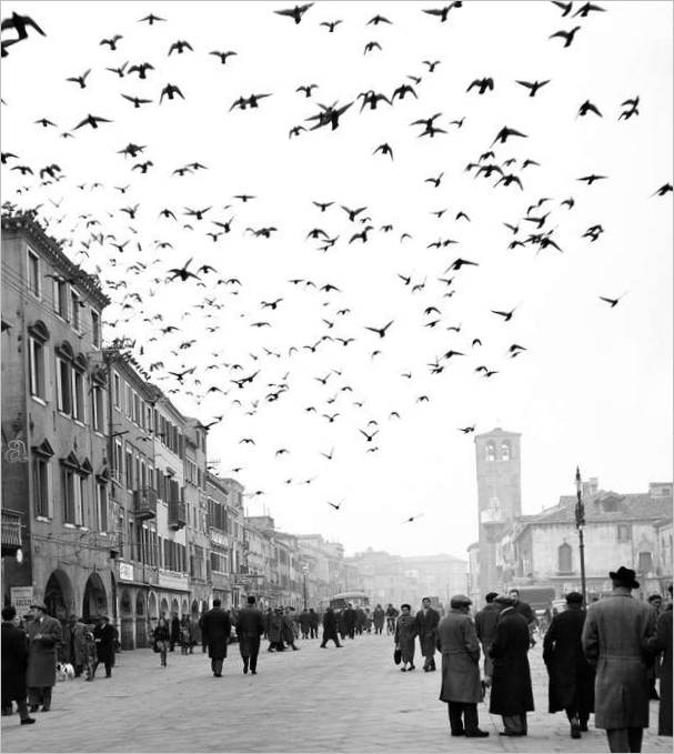 Après-midi à Chioggia, Chioggia, 1959