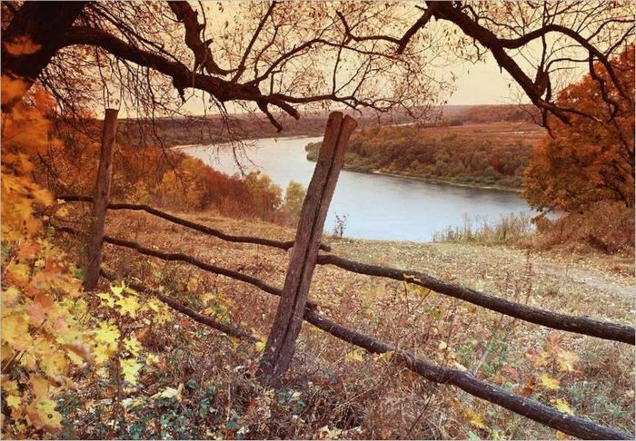 Appareils photo sans miroir