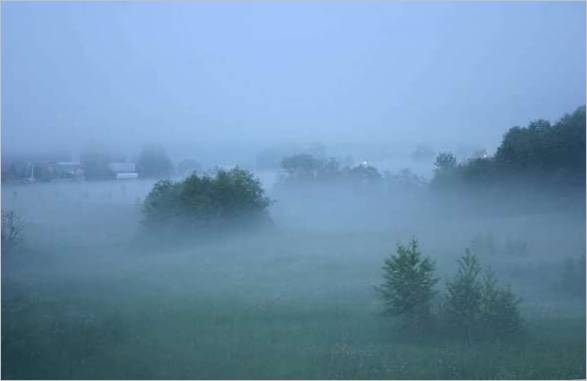 Brouillard