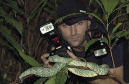 Photographie de serpent
