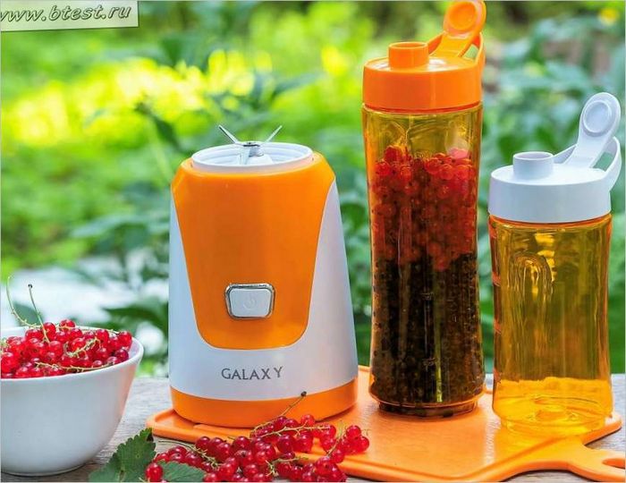 Galaxy GL2150 fitness blender Le mixeur fitness est le Galaxy GL2150