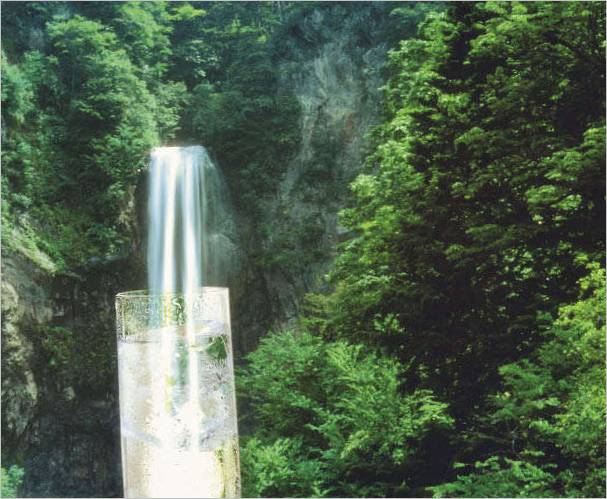 Filtres du tronc
