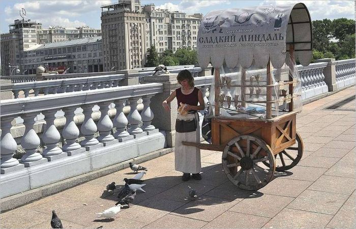Nourrir les pigeons